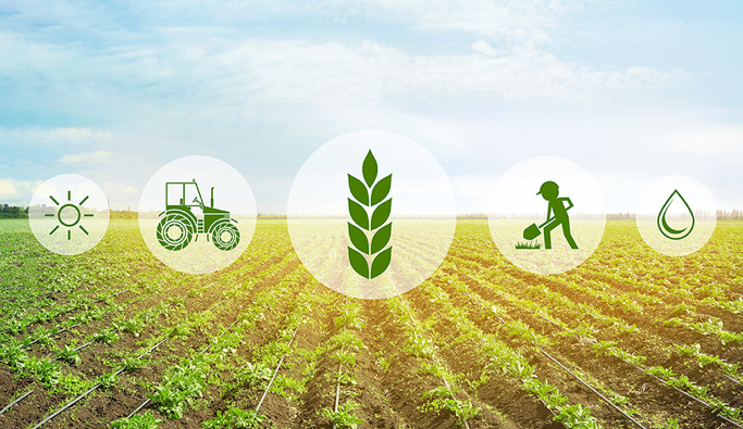Rows of planted crops on mounds of brown dirt that stretch towards the horizon line and meet a blue sky with clouds. In the middle of the picture are 5 white, transparent bubble logos with green designs in the middle, from right to left: a water drop, a farmer with a shovel, a tall stalk of wheat, a tractor, and a sun.